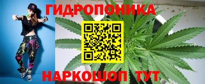 мяу мяу мука Чебоксары