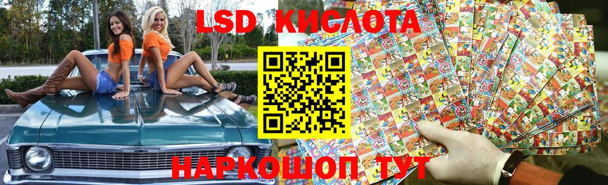 Богданович  где купить наркоту  Марки N-bome  Вход с VPN  Наркотические марки 1,8мг 