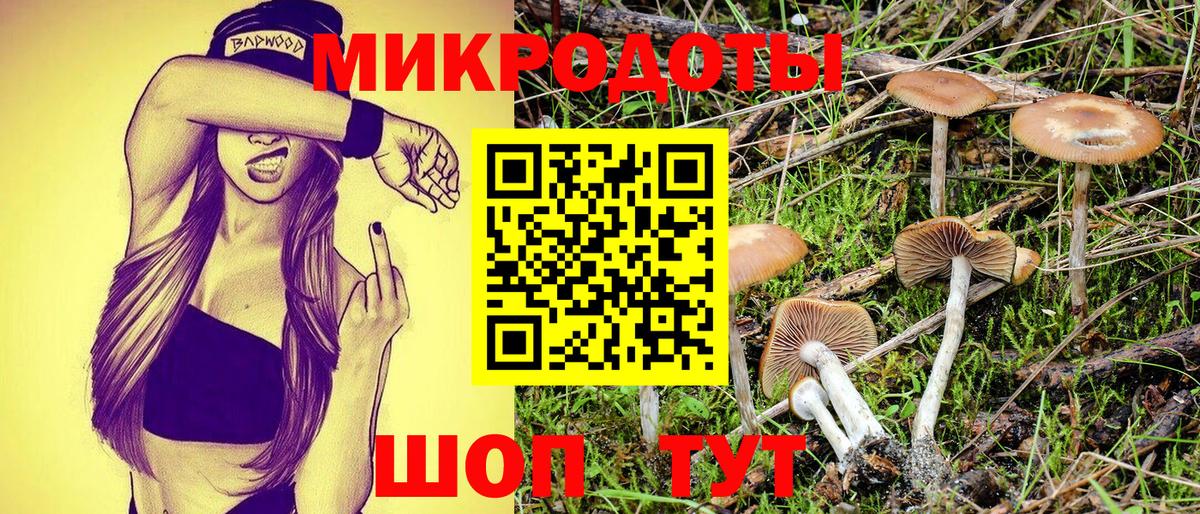 Галлюциногенные грибы GOLDEN TEACHER Богданович